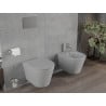 Mexen Rico perem nélküli wc csésze leeresztő automatikás ülőkével, Duroplaszt, Világosszürke matt - 30724061
