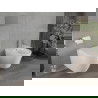 Mexen Rico vas de toaletă Rimless cu capac gros cu închidere lentă , Albă - 30478000