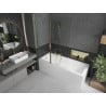 Mexen Cubik cadă dreptunghiulară 170 x 70 cm cu panou și paravan cu 1 panou de 120 cm, transparent, auriu - 550317070X9412115000