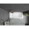Cada rectangulară Mexen Vega 170 x 70 cm cu panou și paravan cu 1 ușă 120 cm, transparent, auriu - 550117070X9412115000
