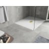 Mexen Hugo brodzik dreptunghiular SMC 110 x 100 cm, alb, masca aurie - 42101011-G