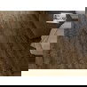 Mexen Orange Beach panouri vinilice 1240 x 182 mm SPC 6,5 mm, suport IXPE 1,5 mm, 4 V-Fuga, Nuc - F1028-1240-182-505-4V1-02