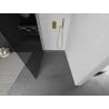 Mexen Kioto parc prăjeală Walk-in 70 x 200 cm, grafit 8 mm, aur periat - 800-070-101-55-40