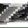 Mexen Kioto Walk-in zuhanyfal 80 x 200 cm, grafit 8 mm, csiszolt arany - 800-080-101-55-40