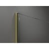 Mexen Kioto Walk-in zuhanyfal 100 x 200 cm, matt, 8 mm, arany - 800-100-101-50-30