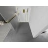 Mexen Kioto+ L perete de duș cu suport Walk-in 100 x 200 cm, mat, aurie - 800-100-123-50-30