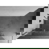 Mexen Kioto+ L perete de duș cu raft Walk-in 100 x 200 cm, model alb, gri armat periat - 800-100-123-66-85
