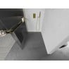 Mexen Kioto+ L perete de duș cu suport Walk-in 100 x 200 cm, transparent, aurie - 800-100-123-50-09