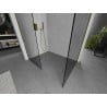 Mexen Kioto perete duş Walk-in 120 x 115 cm, transparent, aurie - 800-120-202-50-00-115