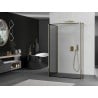 Mexen Kioto perete de dus Walk-in 120 x 120 x 30 cm, model negru, auriu - 800-120-120-221-50-70-030
