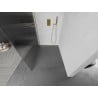 Mexen Kioto L panoul de duş Walk-in 100 x 200 cm, transparent, auriu - 800-100-103-50-09