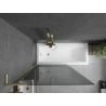 Mexen Next L paravan de baie 1-panou 100 x 150 cm, grafit, auriu periat - 895-100-000-03-40-55