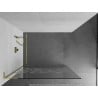 Perete de duș Mexen Kioto L Walk-in 120 x 200 cm, model alb, auriu - 800-120-103-50-85