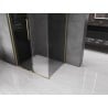 Mexen Velar cabină de duș glisantă 140 x 90 cm, grafit, auriu periat - 871-140-090-41-55