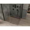 Mexen Omega cabina de duș glisantă 110 x 90 cm, transparentă, neagră - 825-110-090-70-00