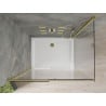 Mexen Omega cabină de duș extensibilă 100 x 70 cm, transparent, Aurie + cadă de duș Flat - 825-100-070-50-00-4010