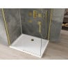 Mexen Omega cabină de duș extensibilă 100 x 70 cm, transparent, Aurie + cadă de duș Flat - 825-100-070-50-00-4010