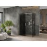 Mexen Omega cabină de duș glisantă 150 x 80 cm, grafit, crom - 825-150-080-01-40