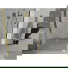 Mexen Lima ușă de duș pliabilă 80 cm, transparent, Aurie - 856-080-000-50-00