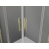 Mexen Exo-R Duo cabina de duș pătrată cu uși batante 70 x 70 cm, transparentă, auriu - 8110-070-070-50-00