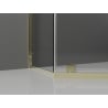 Mexen Exo Cabină de duș pentagonală cu balamale 100 x 100 cm, transparentă, aurie - 812-100-100-50-00