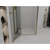 Mexen Roma ușa de duș cu balamale 70 cm, transparent, Aurie - 854-070-000-50-00