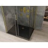 Mexen Omega cabină de duș culisantă 100 x 90 cm, transparentă, aurie + cădiță Flat, neagră - 825-100-090-50-00-4070G