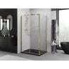 Mexen Exo cabină de duș cu ușă batantă 80 x 100 cm, transparentă, aurie - 814-080-100-50-00