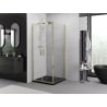 Cabină de duș cu uși batante Mexen Exo 100 x 100 cm, transparent, aurie - 8182-100-100-50-00
