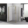 Mexen Exo-F cabina de duș pliabilă 100 x 80 cm, transparentă, aurie - 816-100-080-50-00