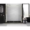 Mexen Exo-S Duo uși de duș duble glisante 190 cm, transparent, aurii - 8152-190-000-50-00
