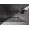 Mexen Kioto-XF Perete de duș Walk-in cu ramă 120 x 202 cm, grafit 10 mm, gri armat periat - 800-120-104-66-40-X