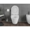 Mexen Rico vas wc Rimless Tornado cu capac cu închidere lentă, durabil, duroplast, alb lucios - 30720200T