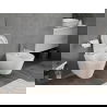 Mexen Rico toaletă WC Rimless Tornado cu capac cu închidere lentă, durabil, duroplast, alb lucios - 30720200T