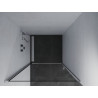 Mexen Pretoria ușă de duș batantă 70 cm, transparentă, crom - 852-070-000-01-00