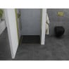Mexen Pretoria ușă de duș batantă 80 cm, transparentă, aurie - 852-080-000-50-00