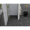 Mexen Pretoria nyíló zuhanyajtó 80 cm, átlátszó, arany - 852-080-000-50-00