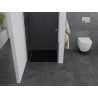Mexen Pretoria ușă de duș batantă 70 cm, grafit, crom - 852-070-000-01-40