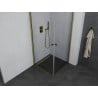 Mexen Pretoria Duo cabină de duș batantă 70 x 70 cm, transparent, auriu - 852-070-070-50-00-02