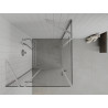 Mexen Roma Cabină de duș batantă Duo 70 x 70 cm, transparentă, crom - 854-070-070-02-00