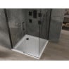 Mexen Omega cabină de duș culisantă 100 x 100 cm, transparentă, neagră + cadă Flat, albă - 825-100-100-70-00-4010B