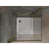 Mexen Omega cabina de duș glisantă 100 x 100 cm, transparentă, aurie + cadă Flat - 825-100-100-50-00-4010
