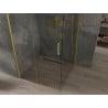 Mexen Omega cabină de duș glisantă 100 x 100 cm, transparentă, aurie - 825-100-100-50-00