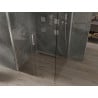 Mexen Omega cabină de duș glisantă 100 x 100 cm, transparentă, crom - 825-100-100-01-00