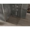Mexen Omega cabină de duș glisantă 100 x 100 cm, transparentă, crom - 825-100-100-01-00