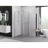 Mexen Exo-B cabina de duș cu ușă batantă 95 x 95 cm, transparentă, crom - 817-095-095-01-00