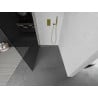 Mexen Kioto perete de duș Walk-in 90 x 200 cm, grafit 8 mm, auriu - 800-090-101-50-40