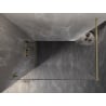 Mexen Lunar perete de duș Walk-in stânga 50 x 200 cm, transparent 8 mm, auriu - 830-050-000-50-00-L