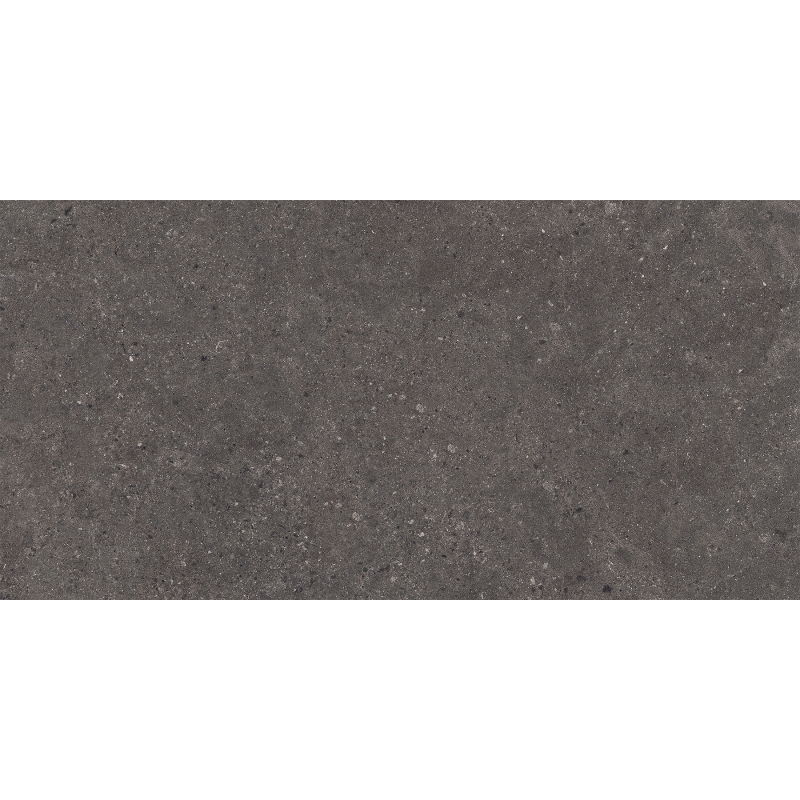 Mexen Elvas Gres glazurat rectificat Ash G1, placă pentru podea și perete 120 x 60 cm, mat - TL330-120-060-00