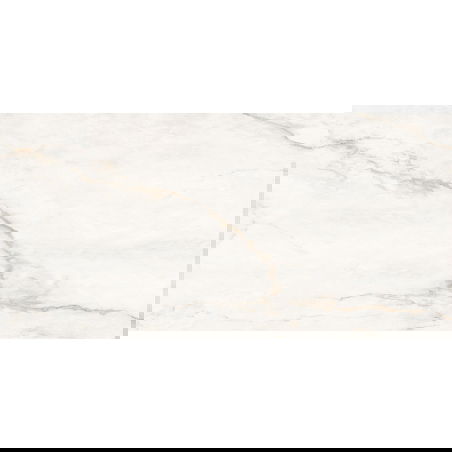 Mexen Brakel Gold gres glazurat rectificat G1, placă pardoseală-perete 120 x 60 cm, gravură - TL402-120-060-00